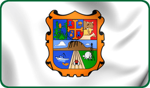 tamaulipas flag