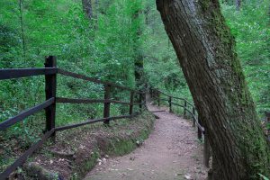 Huasca de Ocampo, the first magical town in Mexico