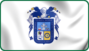 bandera aguascalientes