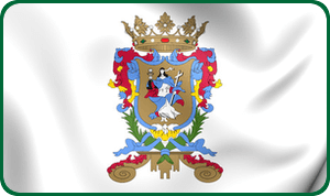 bandera guanajuato