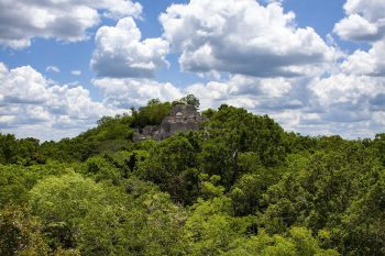 campeche-ruins-of-calakmul-3921773_640.jpg